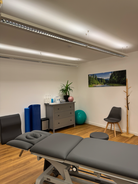 Behandlungsraum Behandlungsraum mit Therapieliege, Stuhl, Pflanzen und Fitnessball. Hell und modern eingerichtet.